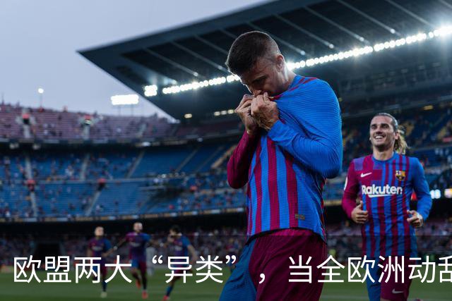 欧盟两大“异类”，当全欧洲动乱时，靠中国走上“捷径”躲过一劫