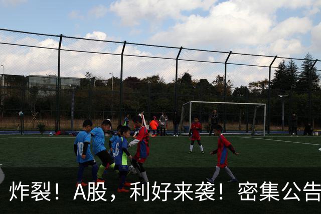 炸裂！A股，利好来袭！密集公告